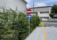 IMG_5846